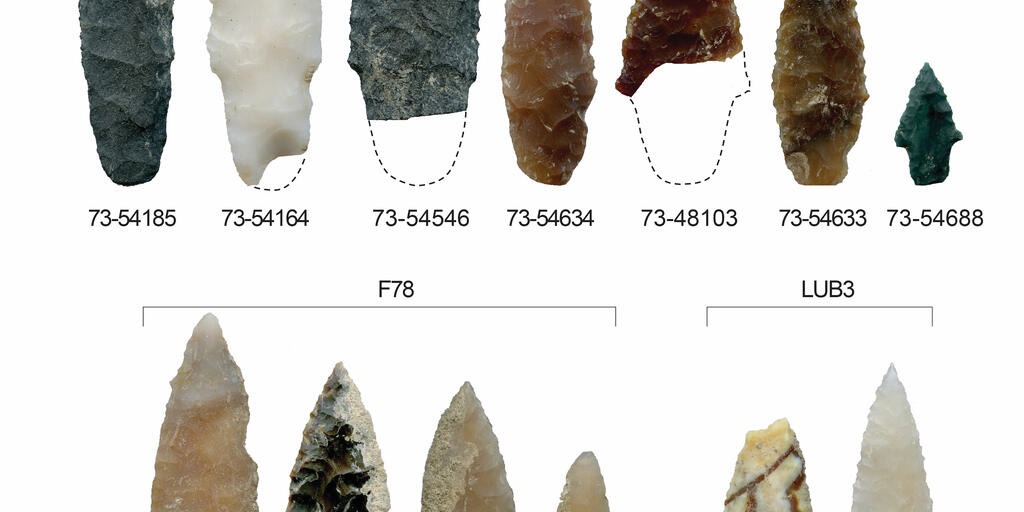 Figure 6-stone projectile